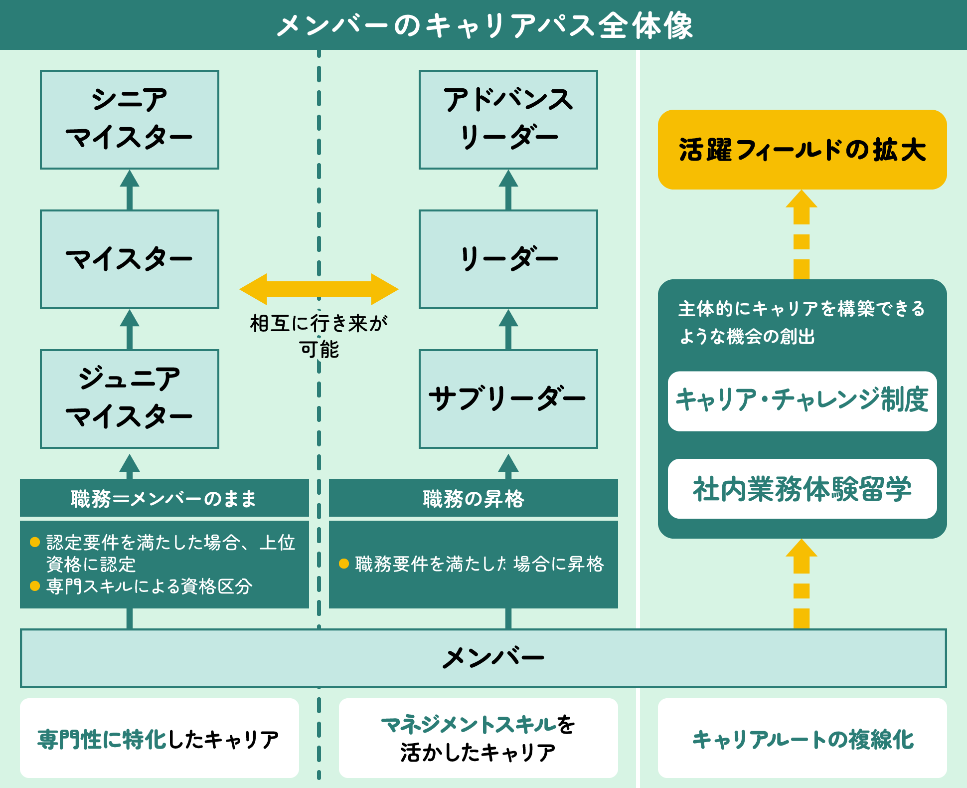 メンバーのキャリアマップ全体像