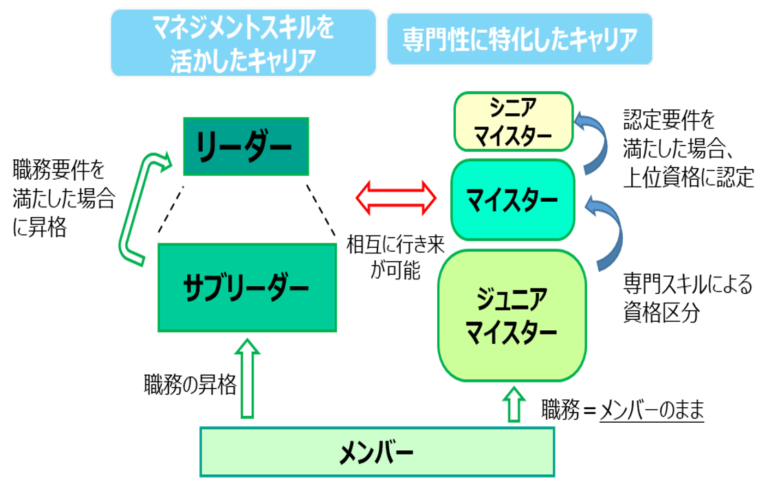 2種類のキャリアパス制度図